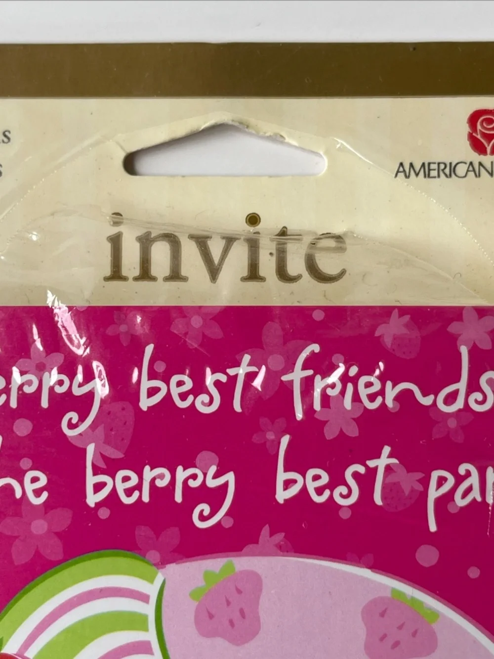 Strawberry Shortcake Party Invitations 10 Invitations & Thank You Notes 4 Packs